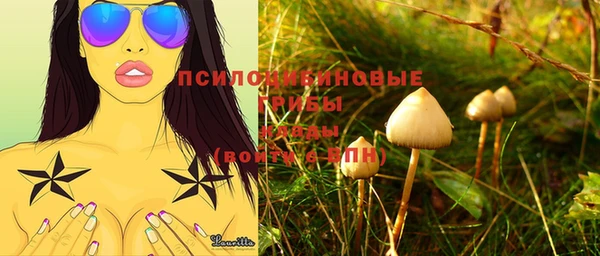 твердый Абинск