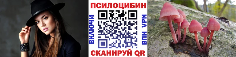 Псилоцибиновые грибы прущие грибы  Невельск 